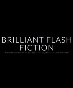 brilliant flash fiction rectangular logo literary magazine