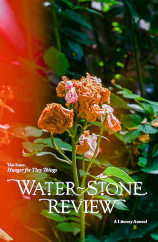 water stone review