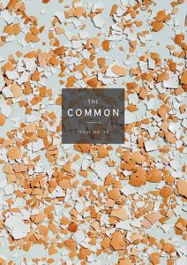 The Common Issue 25 cover image