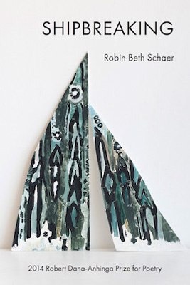 shipbreaking-robin-beth-schaer