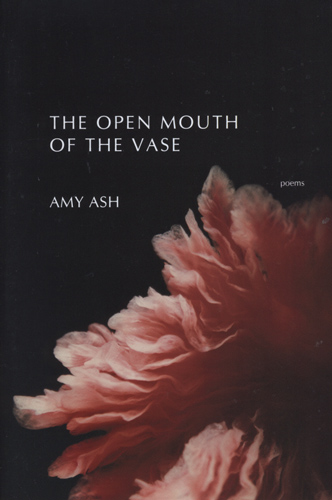 open-mouth-of-the-vase-amy-ash