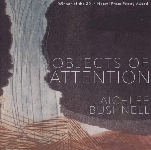 objects of attention aichlee buschnell