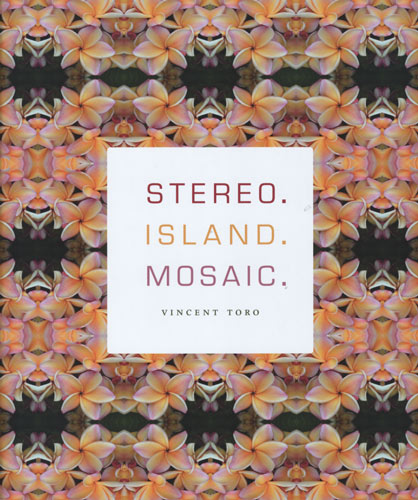 stereo island mosaic vincent toro
