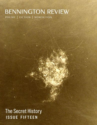 Bennington Review Issue 15 literary magazine cover image