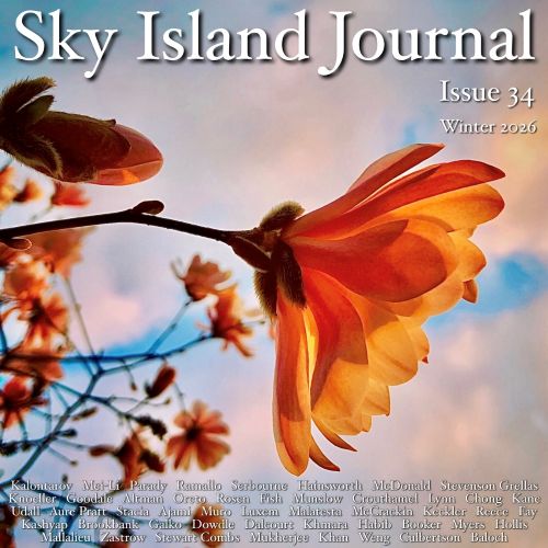 Sky Island Journal Issue 34 literary magazine cover image