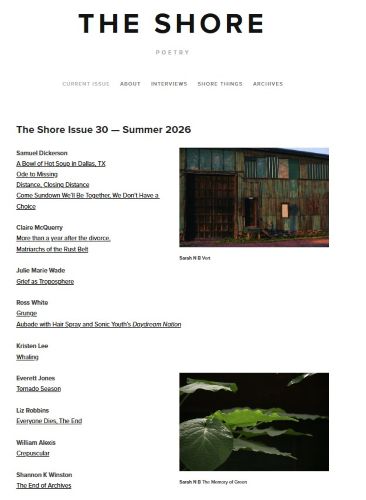 The Shore online poetry magazine Issue 30 cover image