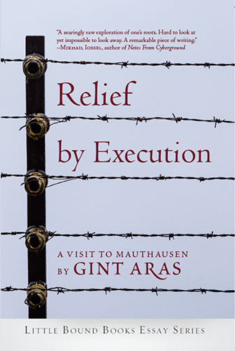relief by execution aras