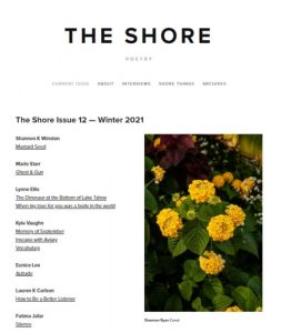 shore poetry issue 12