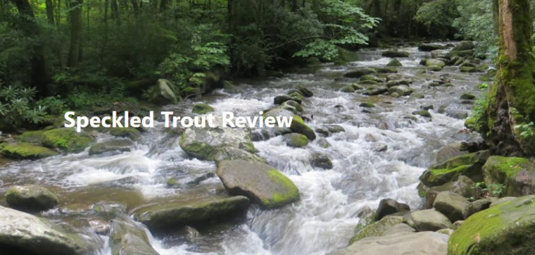 Speckled Trout Review screenshot