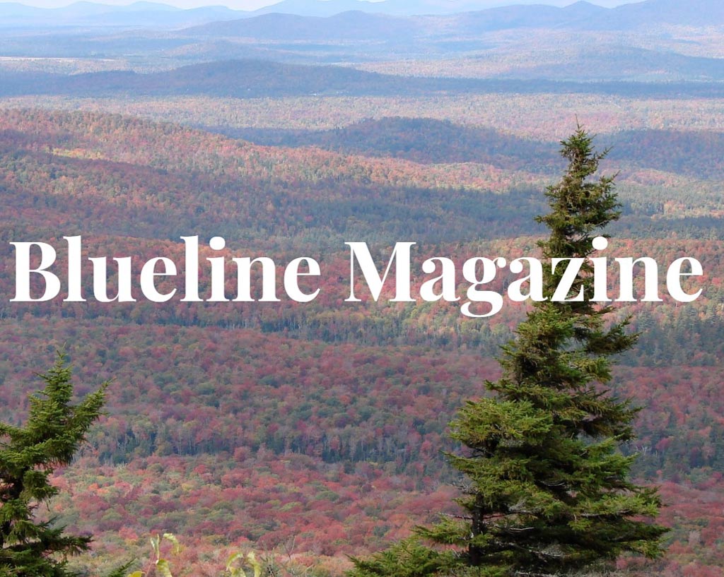 Blueline Magazine homepage screenshot