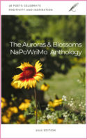 Auroras & Blossoms 2020 NaPoWriMo Anthology cover