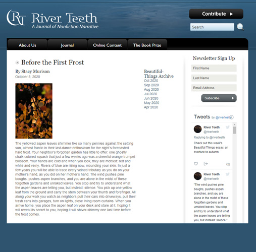 Screenshot of River Teeth's online column Beautiful Things