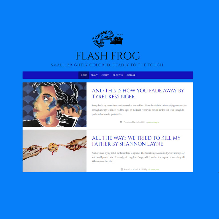 screenshot of Flash Frog website