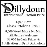 2021 Dillydoun International Fiction Prize banner