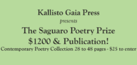 Cropped flier for the 2022 Saguaro Poetry Prize