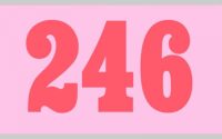 red numbers 246 on pink rectangular background with gray border
