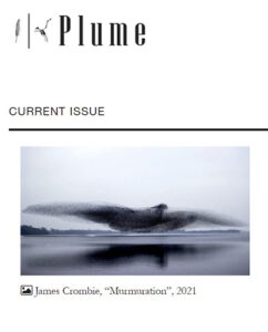 Plume literary magazine cover image