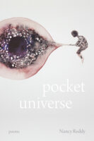Pocket Universe by Nancy Reddy book cover image
