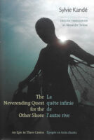 The Neverending Quest for the Other Side by Sylvie Kande book cover image