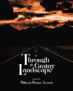Through a Grainy Landscape by Millicent Borges Accardi book cover image