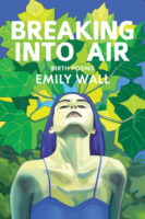 Breaking Into Air by Emily Wall book cover image