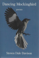 Dancing Mockingbird by Steven Dale Davison book cover image