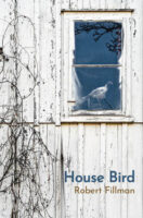 House Bird by Robb Fillman book cover image