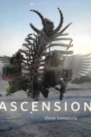 Ascension fiction by Steve Tomasula book cover image