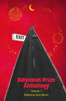 Dillydoun Prize Anthology Volume 1 book cover image
