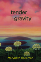 tender gravity poetry by Marybeth Holleman book cover image
