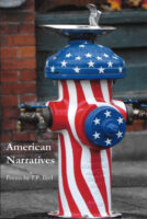American Narrative poetry by T.P. Bird book cover image