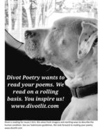 Screenshot of Divot Poetry's flyer for the June 2022 eLitPak