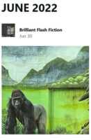 Brilliant Flash Fiction online literary magazine June 2022 cover image