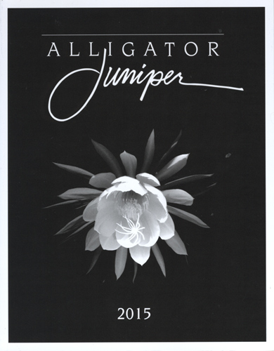 alligator-juniper-2015.jpg