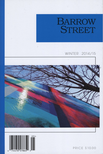 barrow-street-winter-2014-2015.jpg