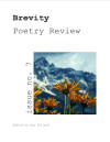 brevity-poetry-review-issue-7.jpg