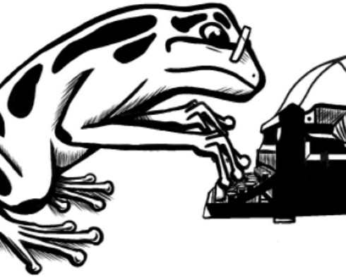 online literary magazine Flash Frog logo