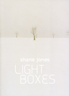 light_boxes.jpg