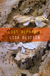lost-alphabet-lisa-olstein.jpg