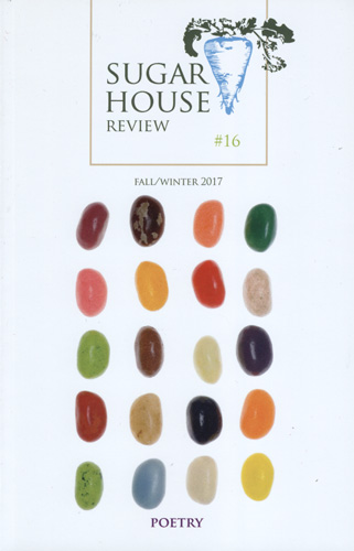 sugar-house-review-n16-fall-winter-2017.jpg