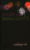 under-the-small-lights-by-john-cotter.jpg