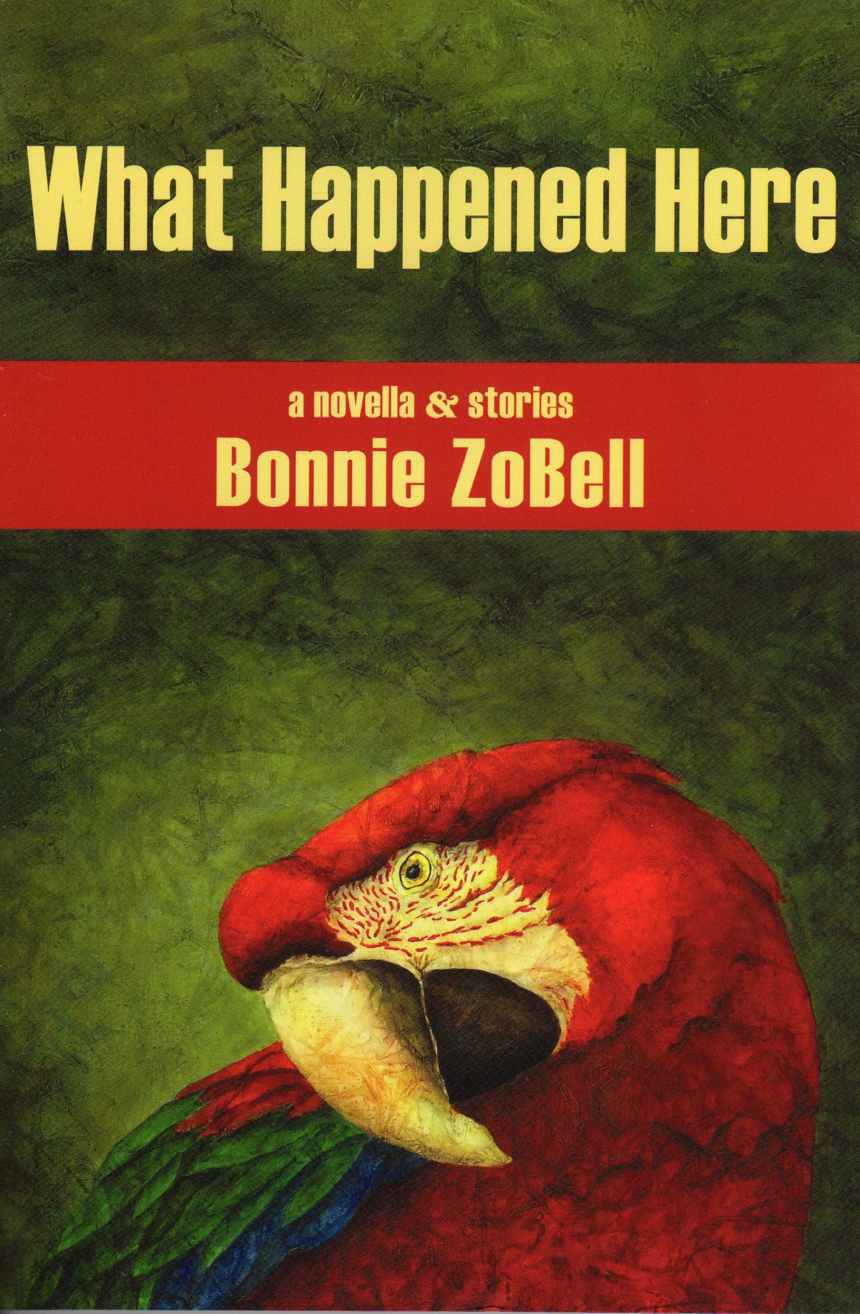 what-happened-here-by-bonnie-zobell.jpg