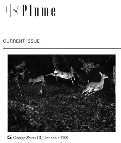 Plume online poetry magazine August 2022 cover image