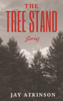 The Tree Stand stories by Jay Atkinson published by Livingston Press book cover image
