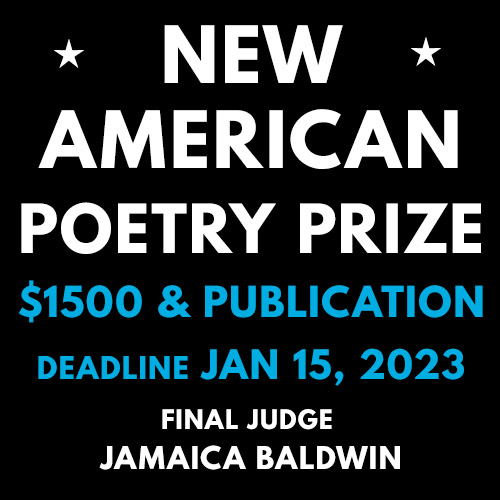 2023 New American Poetry Prize from New American Press