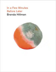 In a Few Minutes Before Later poetry by Brenda Hillman published by Wesleyan University Press book cover image