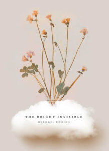 The Bright Invisible poetry by Michael Robins published by Saturnalia Books book cover image