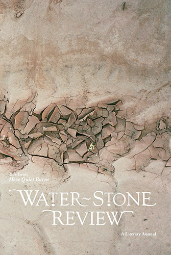Water Stone Review online literary magazine 2022 issue cover image