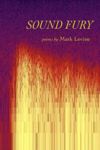 Sound Fury poetry by Mark Levine published by University of Iowa Press book cover image
