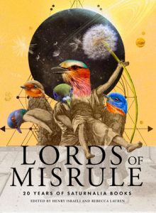 Lords of Misrule 20 Tears of Saturnalia Books book cover image